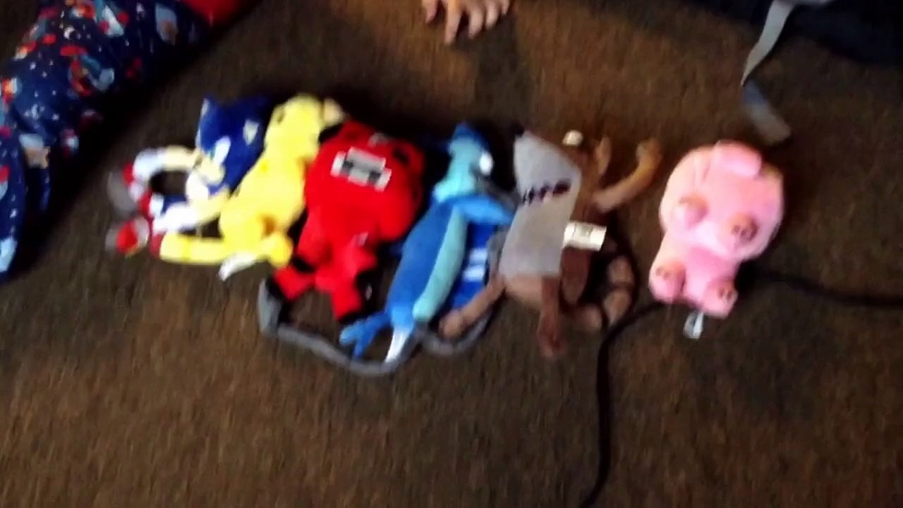 Sonic,minecraft,regler show toys from toys r us