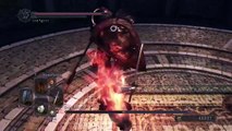 Dark Souls II: SotFS-Dragonrider and Old Dragonslayer NG 
