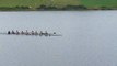 Irish Championships Cork winners of Mens J16 8+ July 2009