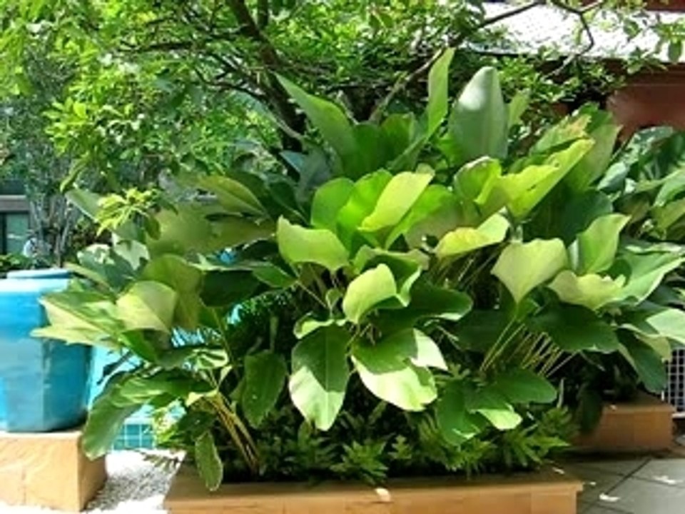 Novotel Suvarnabhumi Airport Hotel 4