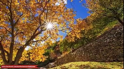The Beauty of Pakistan by - Northern Areas Of Pakistan FB Page