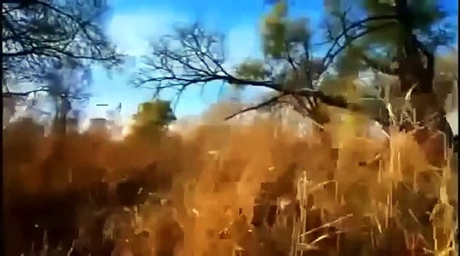 Эзотерика Денег. Фильм - Закон притяжения Денег. Денежный магнит.