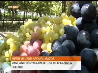 Trt avaz haber Akay Ünal 20.08.15