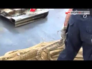 TGSRVago 26 torre mileto sequestro reti a strascico