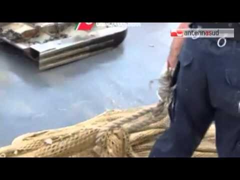 TGSRVago 26 torre mileto sequestro reti a strascico