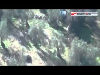 TGSRVago 26 troia agricoltore uccide ladro