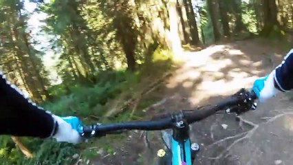 Bikepark Leogang | Bongo Bongo 2015 (nonstop)