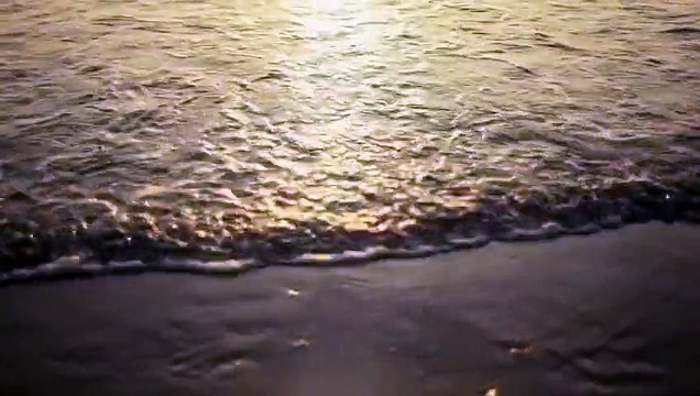 Jamie Woon - Shoulda (Samy Chelly Remix)