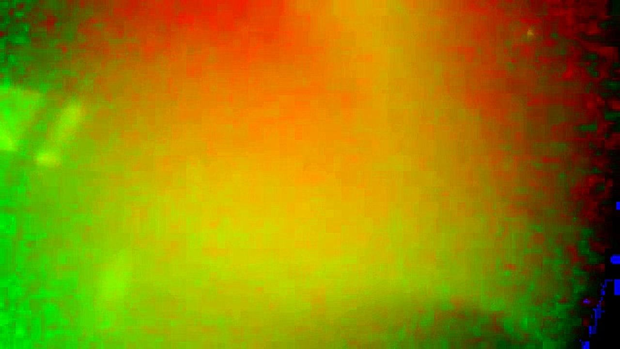 How to hypnotize yourself into a dog