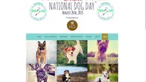 All The Best Dogs on NATIONAL DOG DAY | What's Trending Now