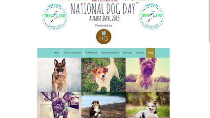 All The Best Dogs on NATIONAL DOG DAY | What's Trending Now