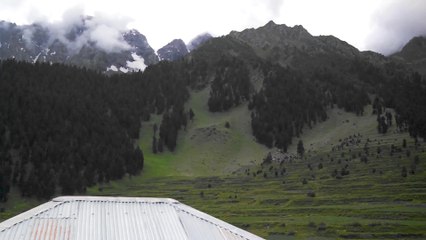 Naltar valley, Gilgit