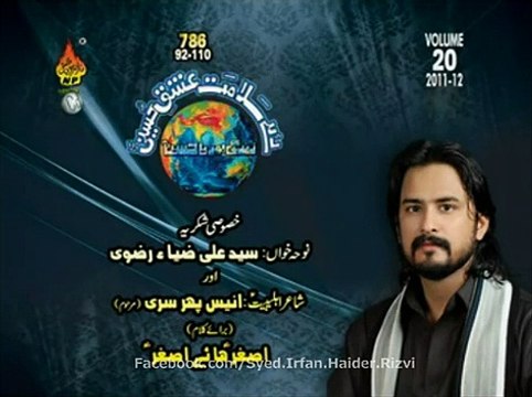 Asghar As Haye Asghar Video Noha by Irfan Haider 2012