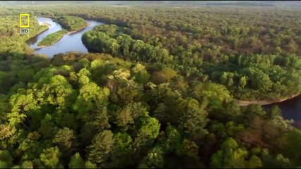 (National Geographic) Wild Russia: Siberia HD (Nature Documentary) Interestingly documen