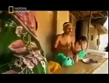 Killer Tigers Hunting Humans: Man Eating Tiger of India | Wildlife Documentary
