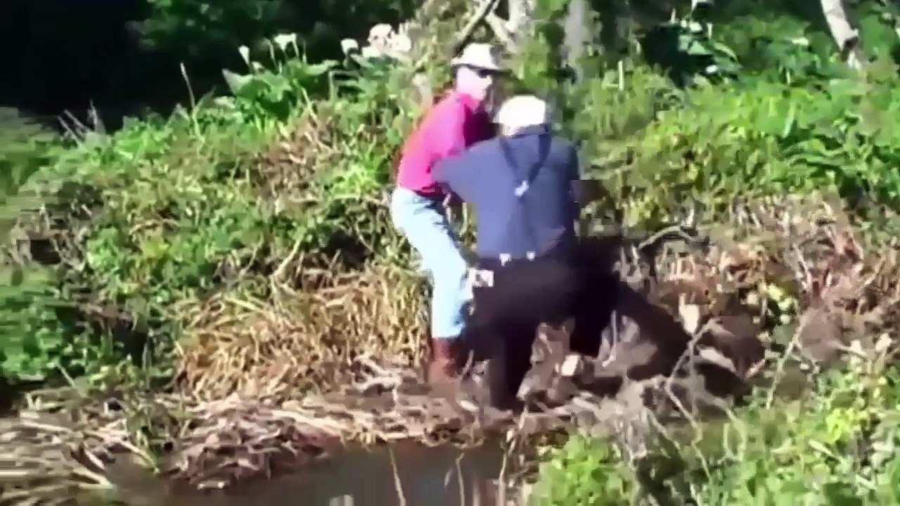 Very Funny Videos Try not to laugh Best Funny Girls Fails