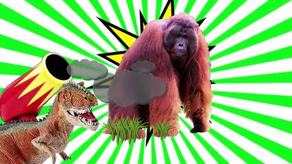 Download Video: Animal Sounds for Children! Animals Sounds Real Animals! Learn Animal Sounds Animal Names and Sound