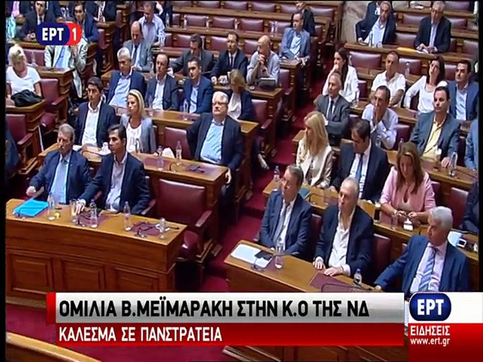 Ομιλία Μεϊμαράκη στη Βουλή