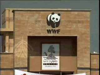 Shabbir Ibne Adil, PTV, News Report: Forest Plan, UNDP (2003)