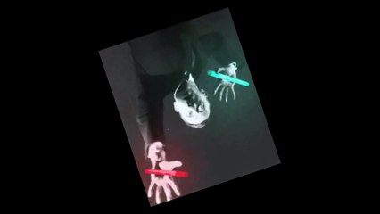 Hitler Dance - Separate Ways