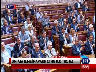 Ομιλία Μεϊμαράκη στη Βουλή 2