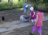 Ostsee - Urlaub auf dem Bauernhof mit Kindern