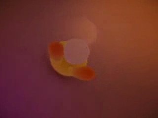 Titou Le Lapinou 2007