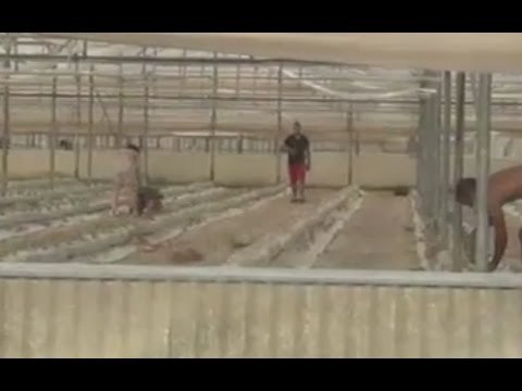 Ragusa - Blitz contro lavoro nero, 50 dipendenti controllati (27.08.15)