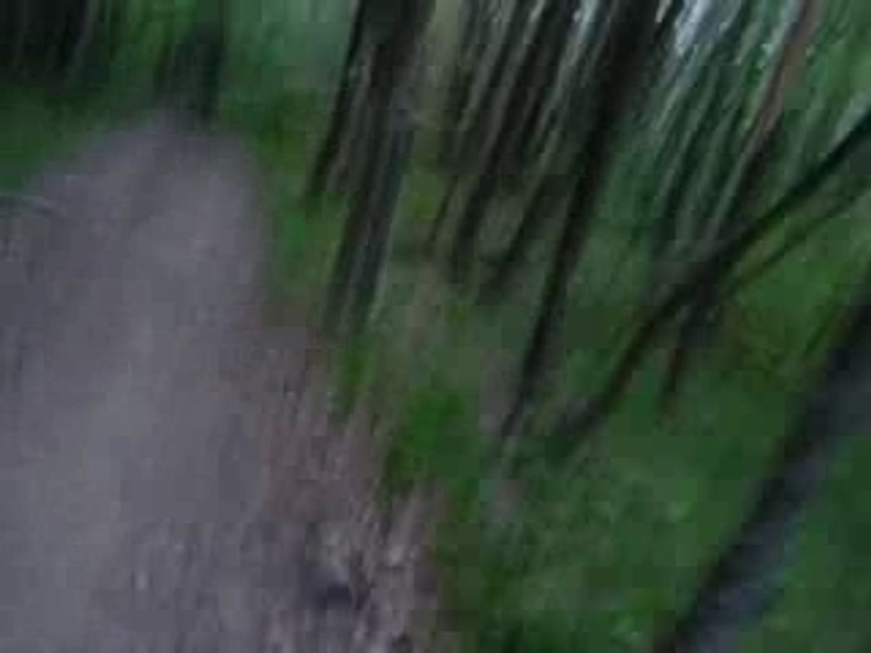 Enduro Trip : Pollionnay en Yéti 575