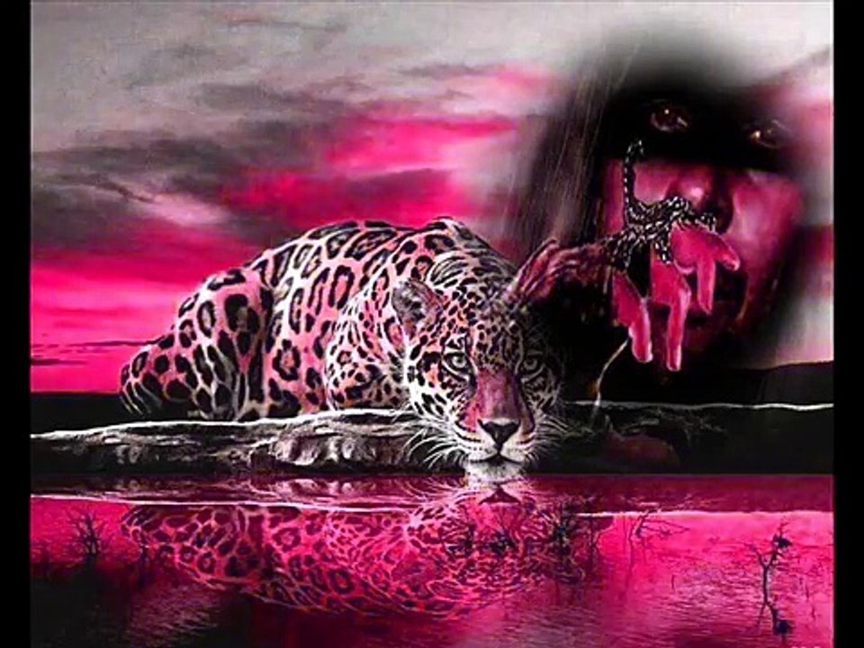 (ACCEPT) BALLS TO THE WALL COVER (TOMSCORPION)