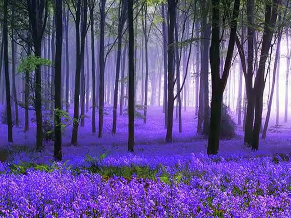 Christian converted to Islam in Canada