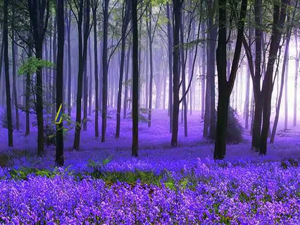 Christian converted to Islam in USA