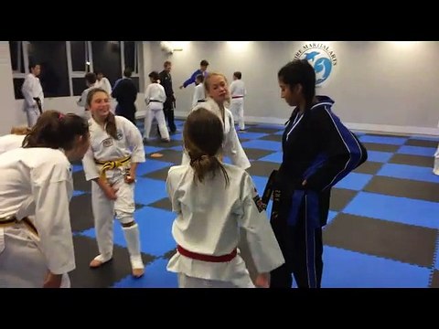 Caringbah Taekwondo Mentors At Shire Fighting style