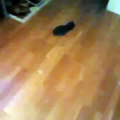 Message For Every One ( plz Must watch it )