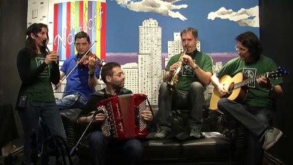 The Irish Brothers - Polkas