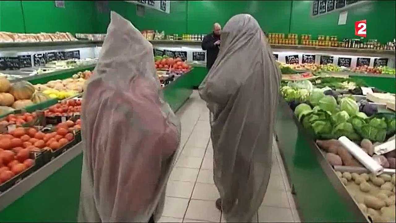 Electrosensibilité - reconnaissance handicap : JT France 2 - 13h - 26/08/2015