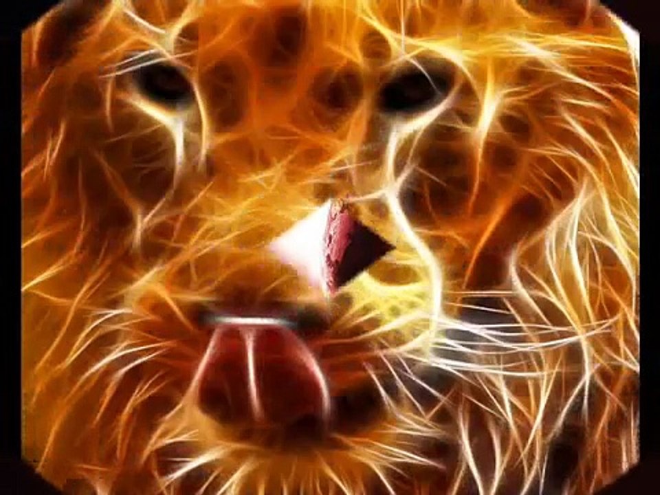 Mensagens de reflexão com Cid Moreira