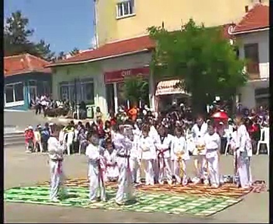 Mihalıççık Gençliğe Hizmet Derneği Yunusemre HZ. Anma Programı Tekwando Gösterisi