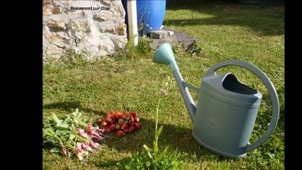 Beaumont sur Oise +My Movie