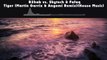 R3hab vs. Skytech & Fafaq - Tiger (Martin Garrix & Angemi Remix) (House Music) [1080p60]