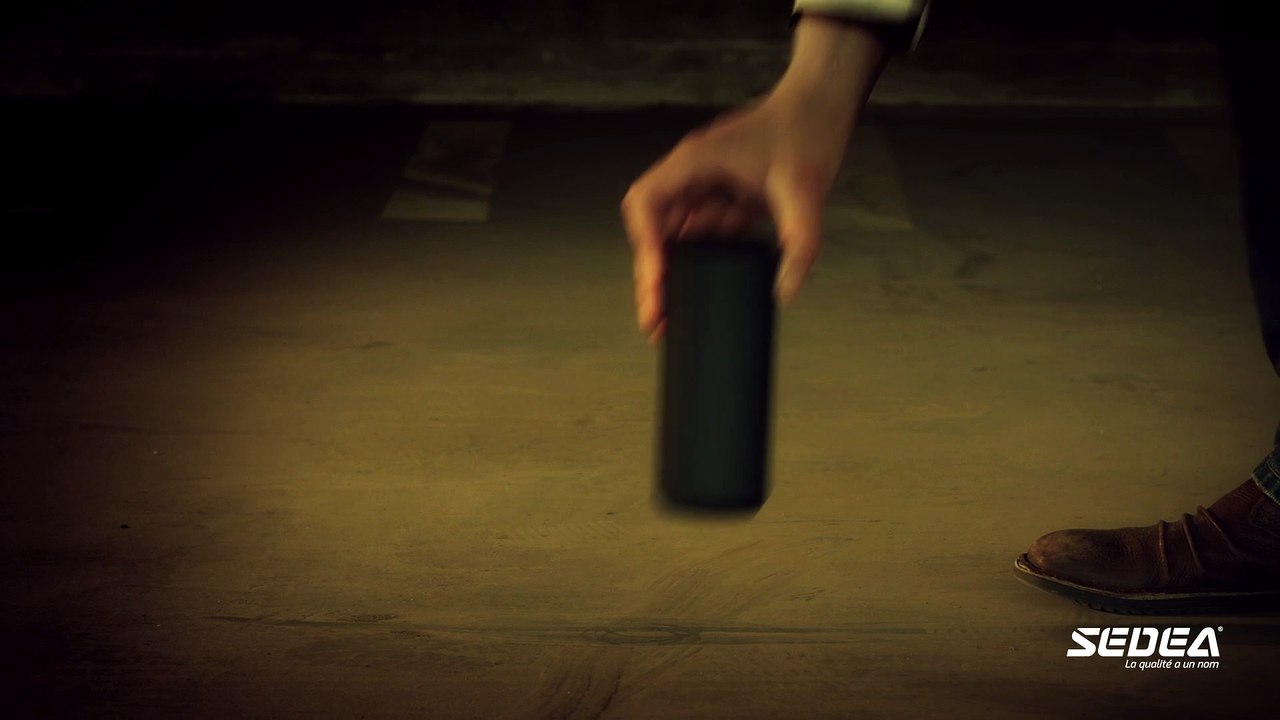 SEDEA Enceinte Bluetooth portable lumineuse