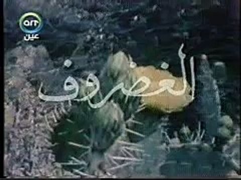 العلم والإيمان د/مصطفى محمود ..الغضروف