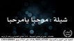 شيلة : مرحبا يامرحبا - أداء : هادي الغفراني و راشد ال درعه | أصلي + مسرع | #شيلات #صوتيات