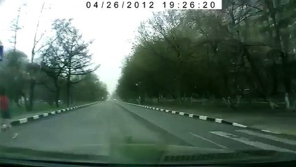 Дерево мстит за непропущенного пешехода!