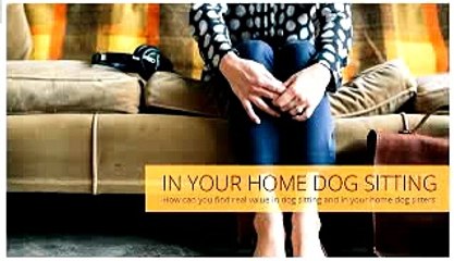 Best dog sitting Austin Travis County | (512)484-5840