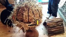 Giant Rabbits' Giant Hay Ball - Fairly Beloved Rabbit Care