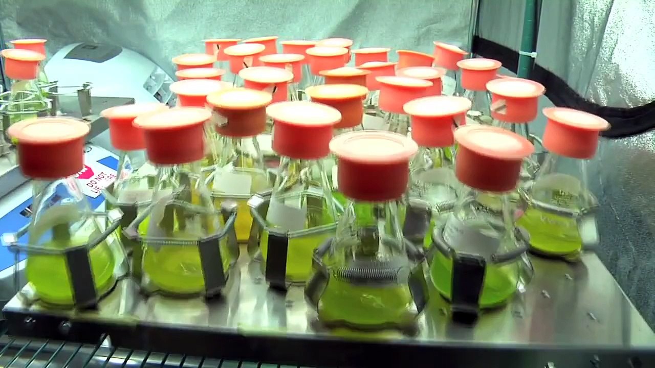 NREL Overview Video