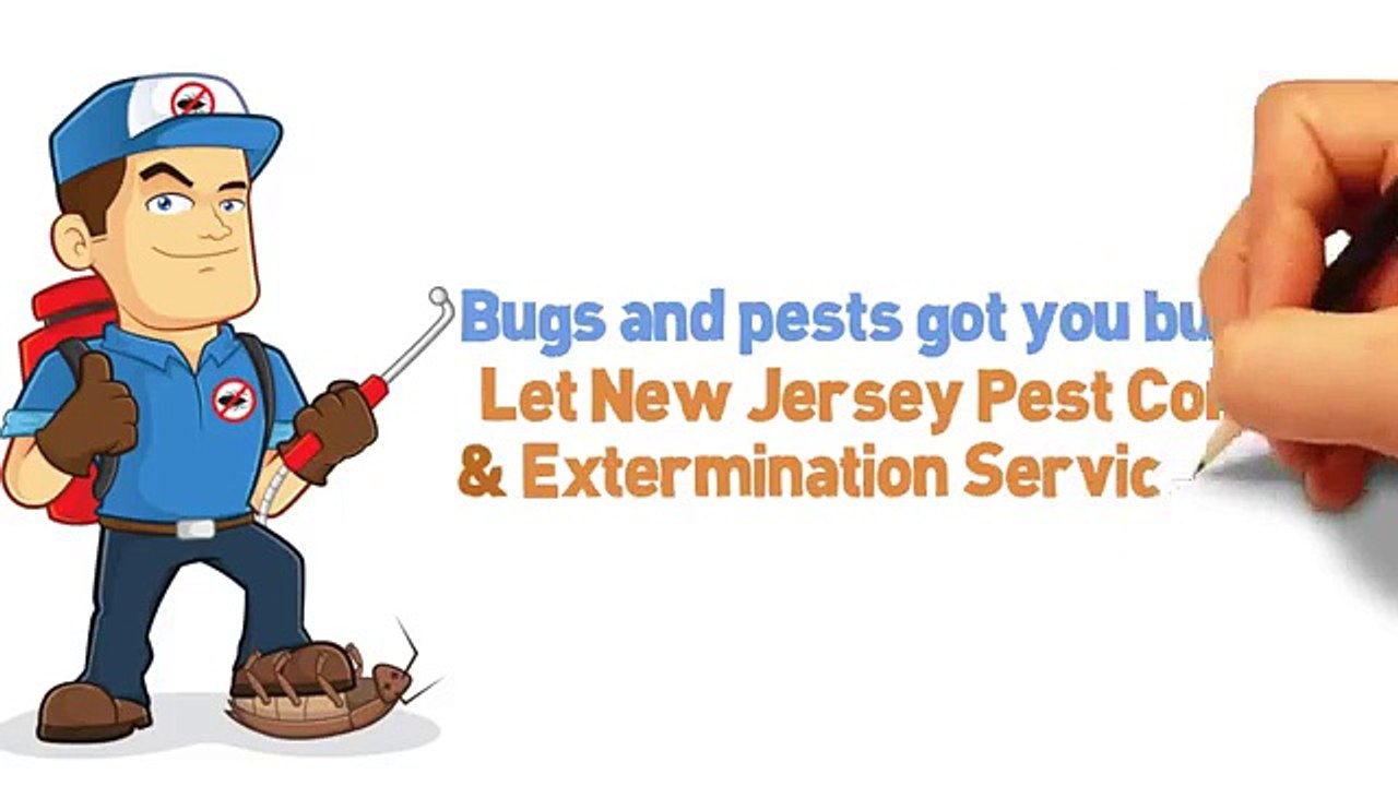 Pest Control in NJ E&G Exterminators South Amboy (732) 7216368 video
