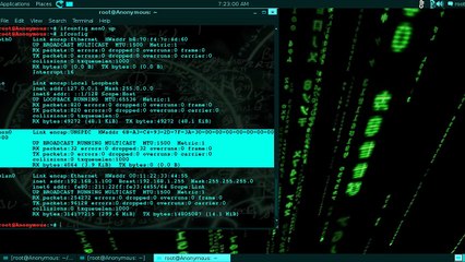Kali Linux - How to set up a virtual interface