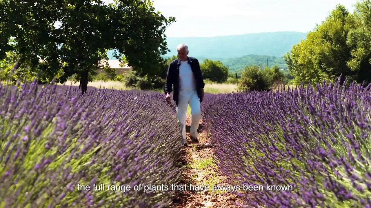 French Affair - Prouvenco